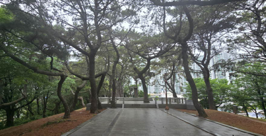 amisan_b_c-(8).jpg