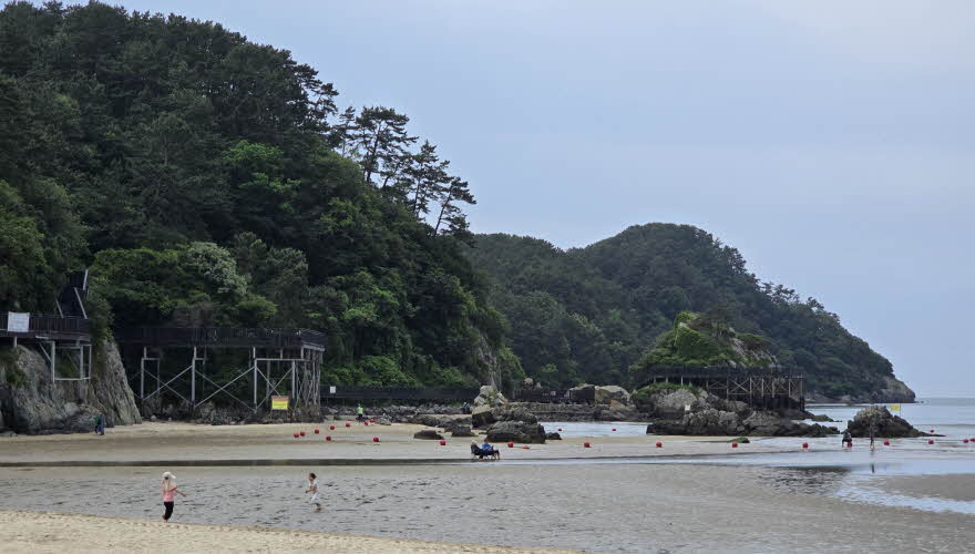 nakjo-JMD-010-20250609_101513.jpg