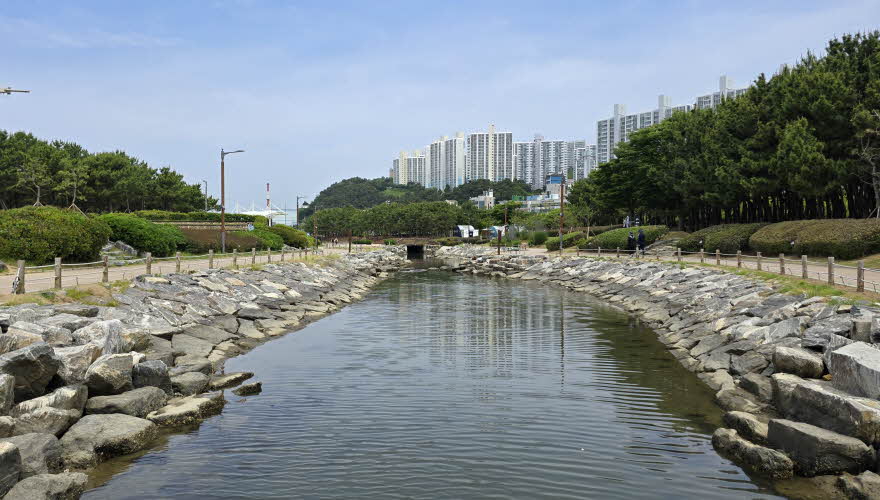 dadaepo_HB_park-010-20250609_102122.jpg