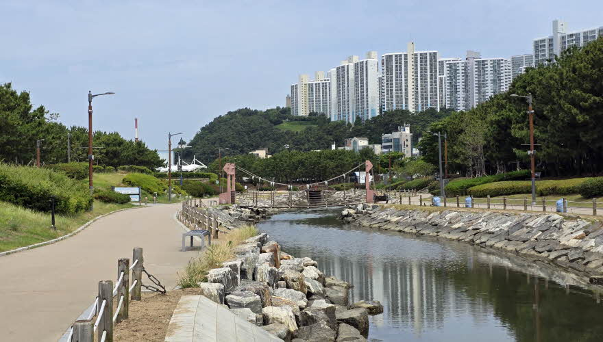 dadaepo_HB_park-000-20250609_102013.jpg