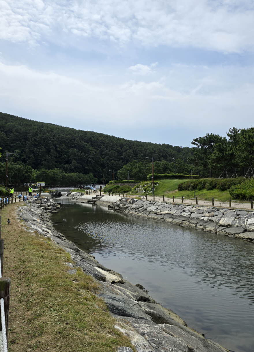 dadaepo_HB_park-030-20250609_102149.jpg