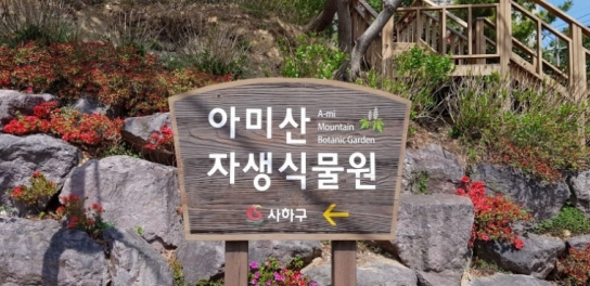 아미산 자생식물원