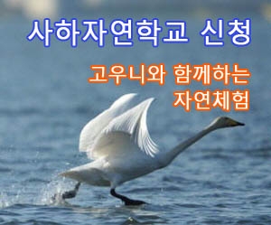 사하자연학교