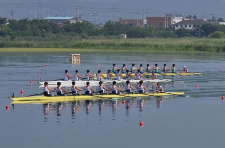 제51회 장보고기 전국 조정대회, 오는 31일 서낙동강에서 개최
