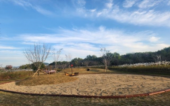 "숲에서 배우고, 즐기고, 치유까지" 부산시, 산림복지서비스 강화 추진
